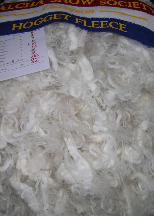 Pile of merino wool.